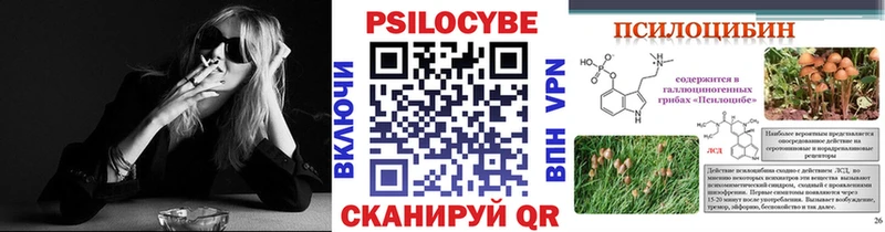 купить   Шиханы  Псилоцибиновые грибы Magic Shrooms 